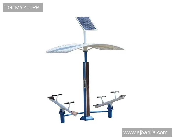 全面解析体育健身器材的种类功能及选购技巧助你打造完美健身计划